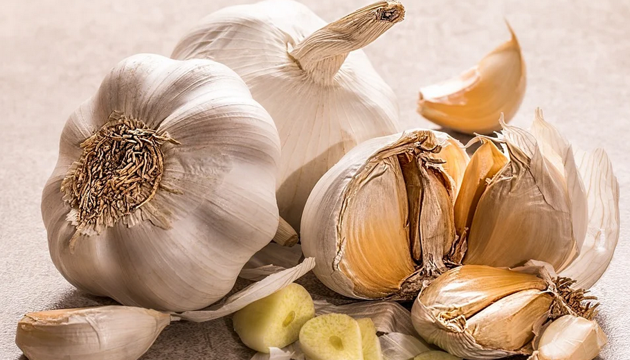 garlic